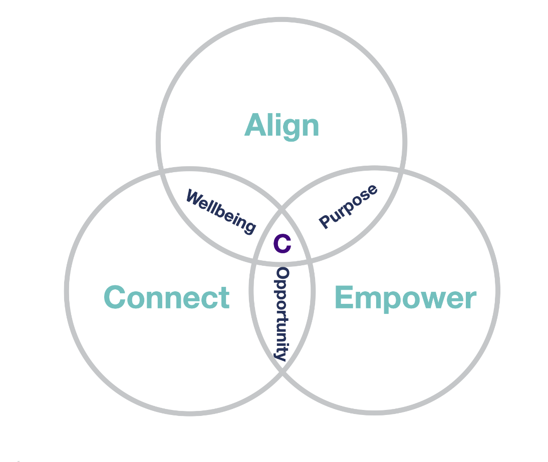 A Venn diagram with Align, Connect, and Empower in the three circles. The overlap sections contain the words Wellbeing, Purpose, and Opportunity